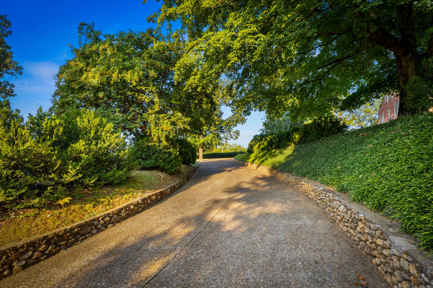 Pea-gravel drive beneath mature trees